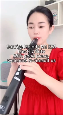 Træblæsersaxofon Sunrise Melody Musik kommer fra livet