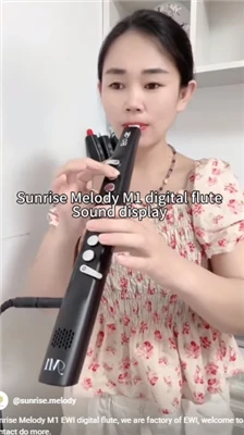 Klarinet Electronic Sunrise Melody Musik kommer fra livet