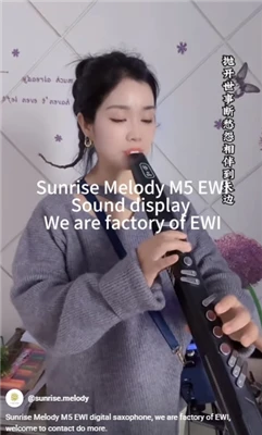 Digitale musikinstrumenter Sunrise Melody Musik kommer fra livet