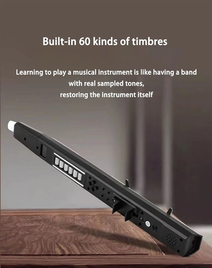 EWI electronic wind instrument